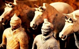 Join Us! Terracotta Warriors & Qinshihuang Tomb